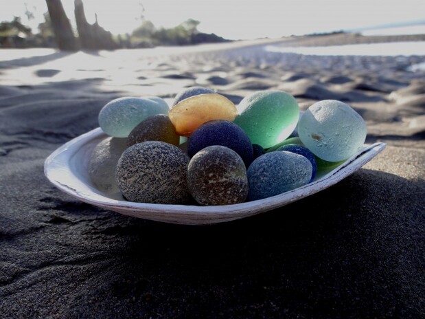 sea glass and clam