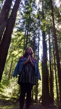 sophia redwoods