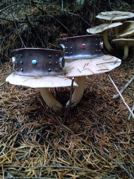 cuffa and mushrooms